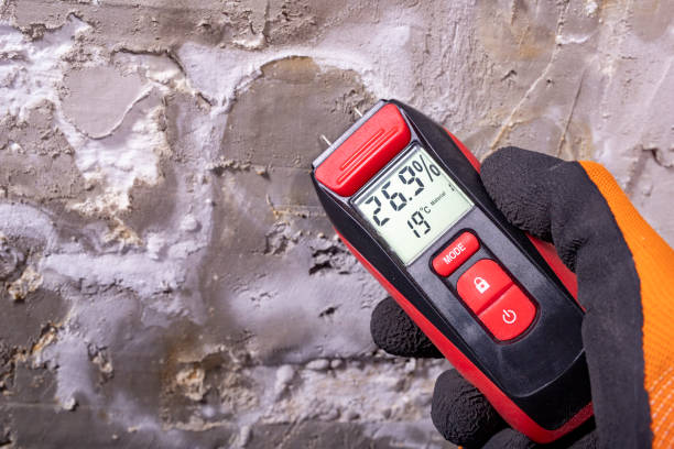 Best Water Damage Restoration  in Richwood, LA